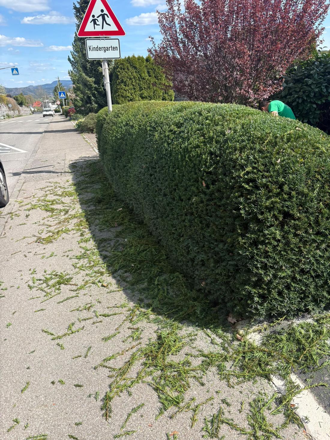 Frisch geschnittene Hecke an der Straße