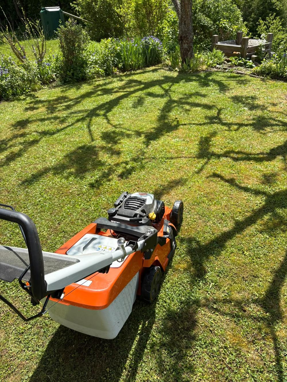 Profi-Rasenmäher im Einsatz auf sonnigem Rasen