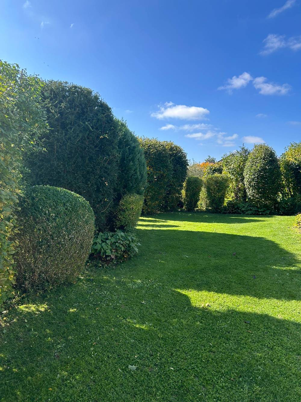 Gepflegter Garten mit Formgehölzen und grünem Rasen