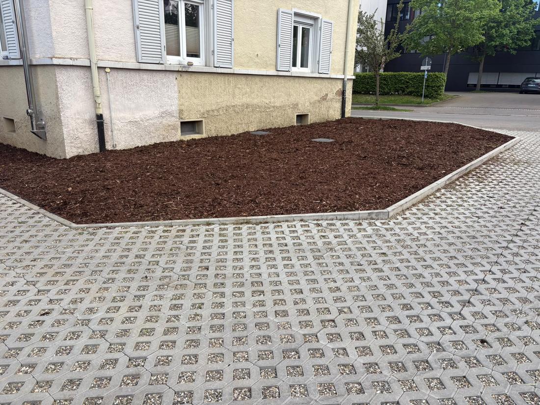 Vom Wildwuchs zum Mulchbeet, nachher